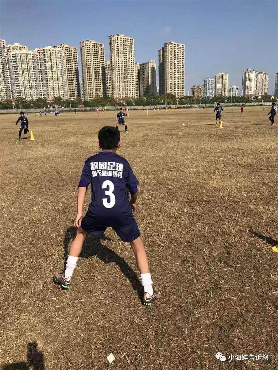 球队训练营暑期集训即将启动，备战新赛季