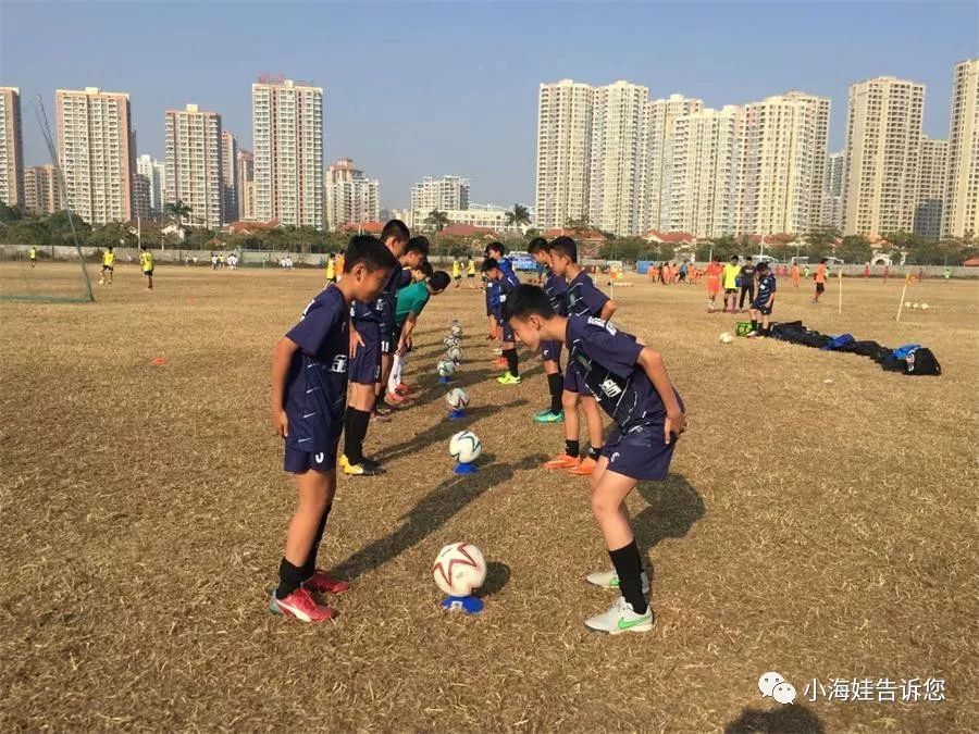 球队训练营暑期集训即将启动，备战新赛季