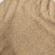 沙夫豪取胜利为保级立下功劳